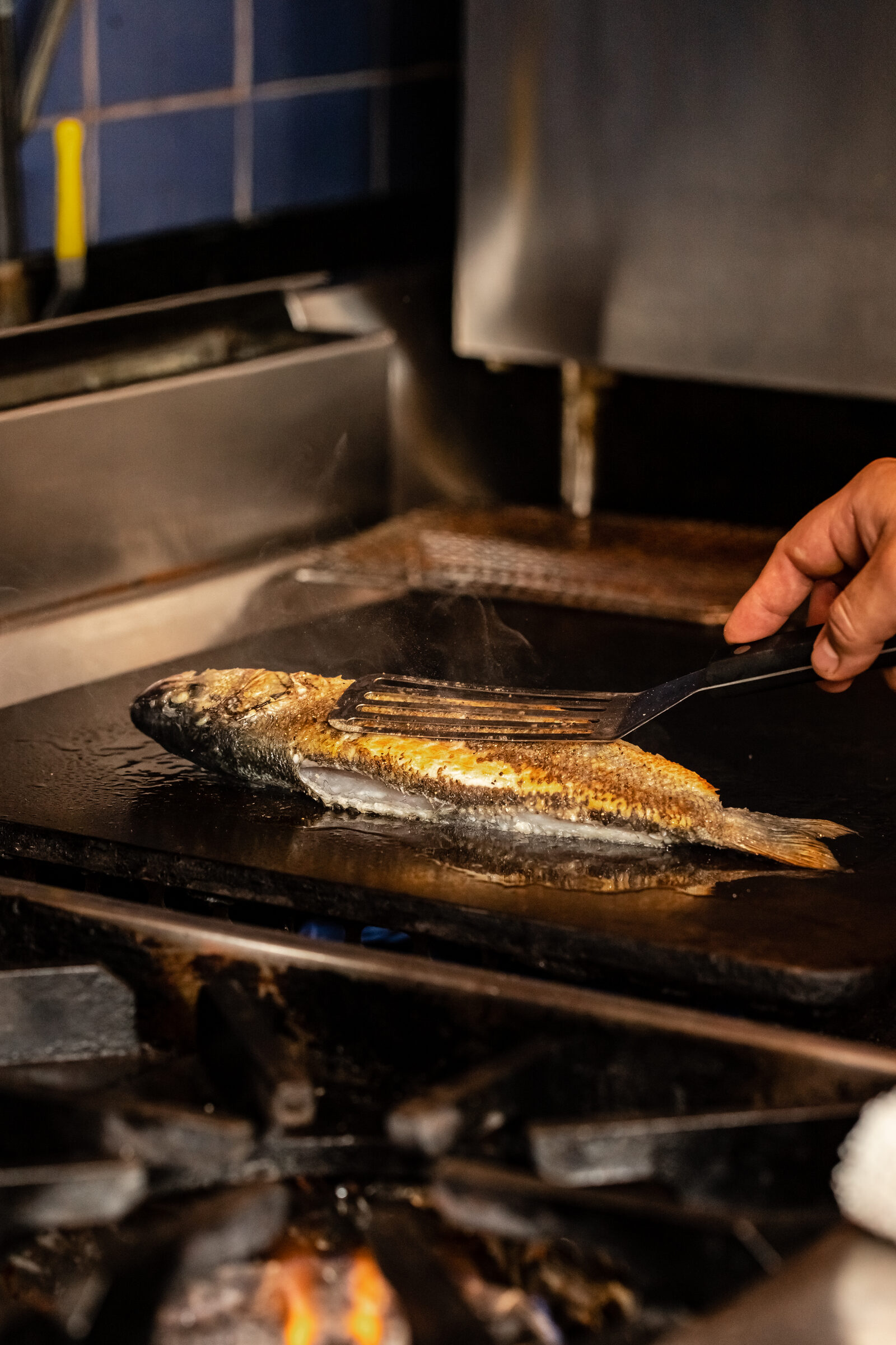 Whole fresh fish in the kitchen
