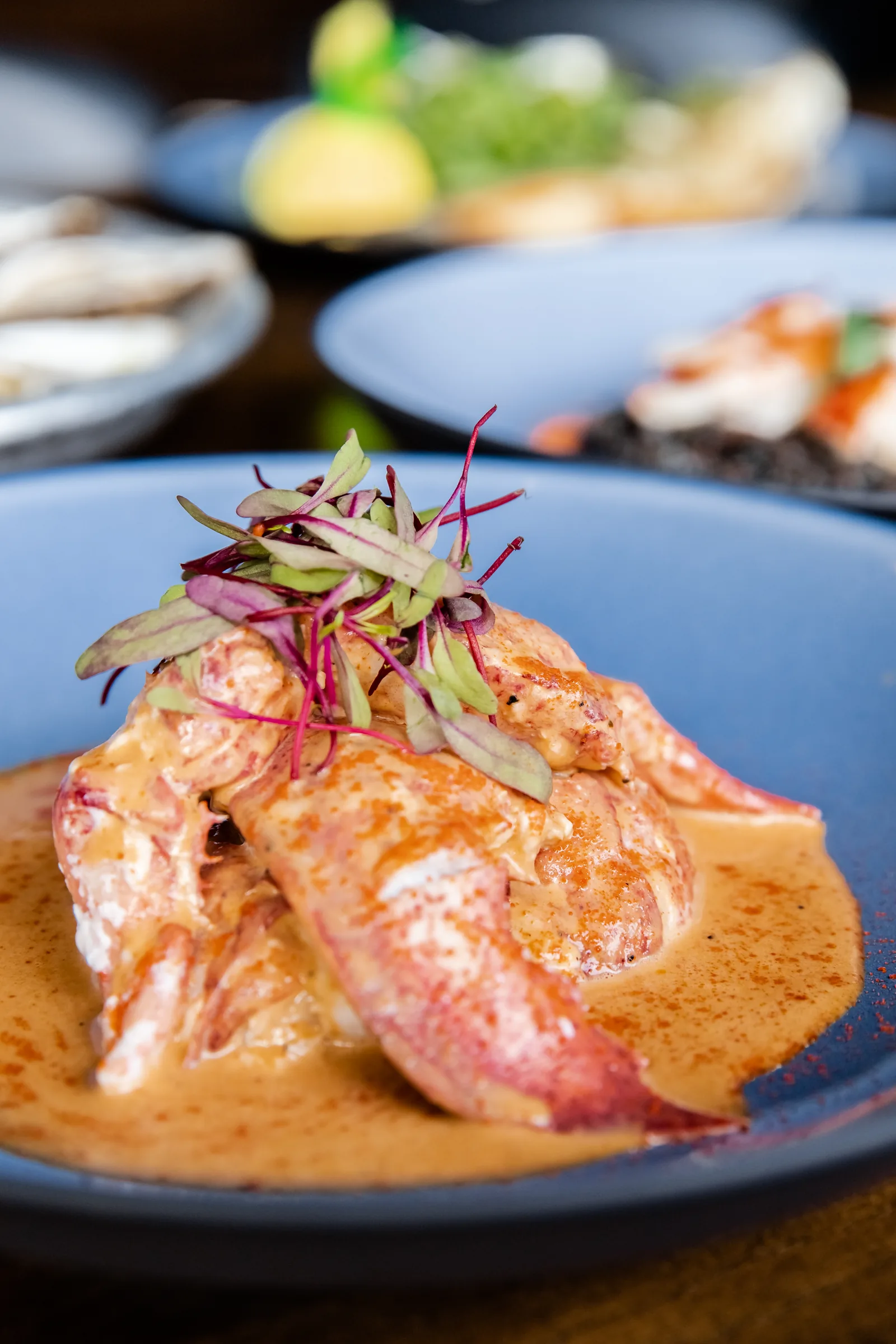 A lobster dish at Knife Steakhouse Plano